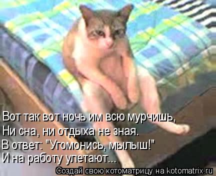 Котоматрица: Вот так вот ночь им всю мурчишь, Ни сна, ни отдыха не зная. В ответ: "Угомонись, мылыш!" И на работу улетают...
