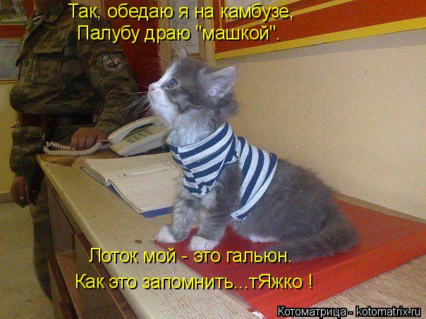 Так, обедаю я на камбузе, Палубу драю "машкой". Лоток мой - это гальюн. Как это запомнить...тЯжко !... Котоматрица: Так, обедаю я на камбузе, Палубу драю "машкой". Лоток мой - это гальюн. Как это запомнить...тЯжко !