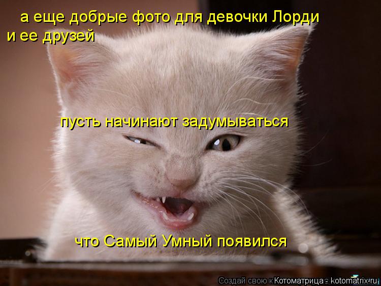 а еще добрые фото для девочки Лорди и ее друзей пусть начинают задумываться что Самый Умный появился... Котоматрица: а еще добрые фото для девочки Лорди и ее друзей пусть начинают задумываться что Самый Умный появился