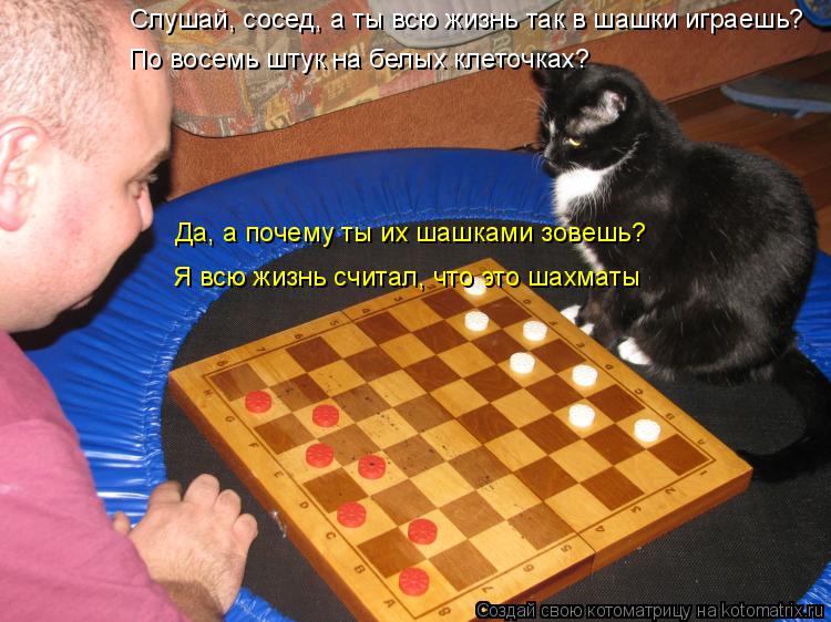 Котоматрица: Слушай, сосед, а ты всю жизнь так в шашки играешь? По восемь штук на белых клеточках? Да, а почему ты их шашками зовешь? Я всю жизнь считал, что 