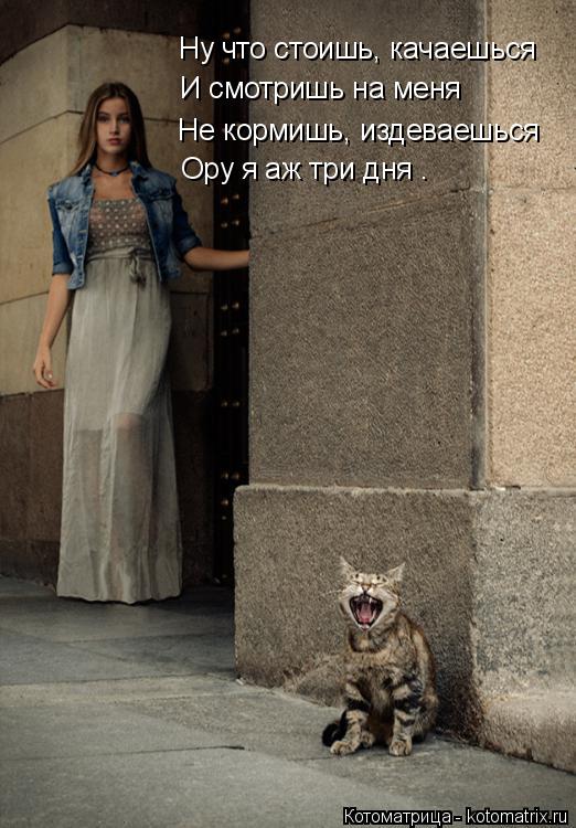 Ну что стоишь, качаешься И смотришь на меня Не кормишь, издеваешься Ору я аж три дня .... Котоматрица: Ну что стоишь, качаешься И смотришь на меня Не кормишь, издеваешься Ору я аж три дня .
