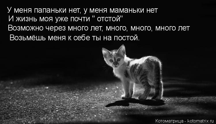 У меня папаньки нет, у меня маманьки нет И жизнь моя уже почти " отстой" Возможно через много лет, ... Котоматрица: У меня папаньки нет, у меня маманьки нет И жизнь моя уже почти " отстой" Возможно через много лет, много, много, много лет Возьмёшь меня к себ
