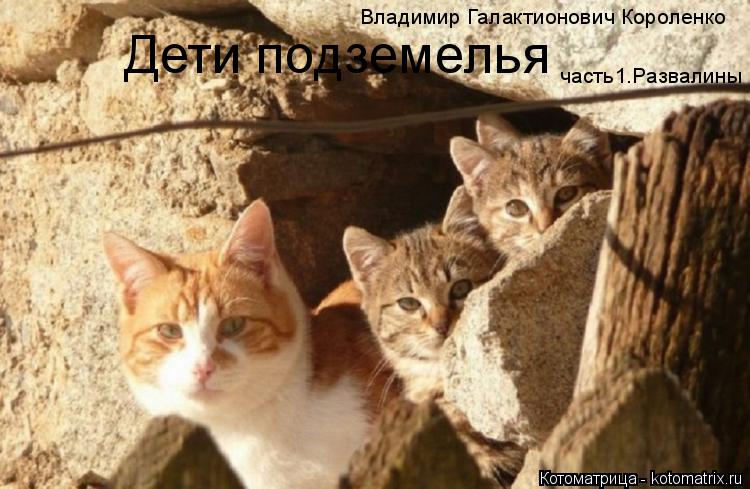 Владимир Галактионович Короленко Дети подземелья часть1.Развалины... Котоматрица: Владимир Галактионович Короленко Дети подземелья часть1.Развалины