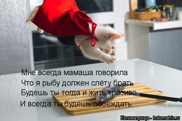Мне всегда мамаша говорила Что я рыбу должен слёту брать Будешь ты тогда и жить красиво И всегда ты б... Котоматрица: Мне всегда мамаша говорила Что я рыбу должен слёту брать Будешь ты тогда и жить красиво И всегда ты будешь побеждать.