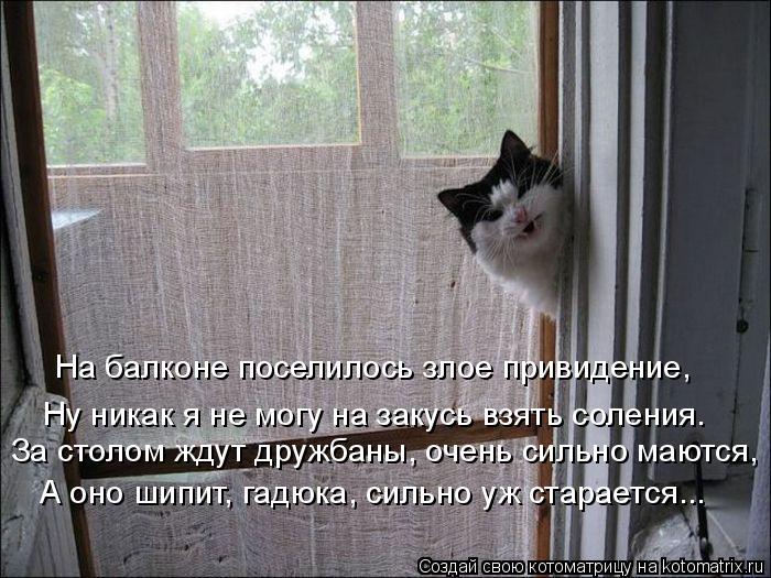 Ну никак я не могу на закусь взять соления. За столом ждут дружбаны, очень сильно маются, А оно шипи... Котоматрица: Ну никак я не могу на закусь взять соления. За столом ждут дружбаны, очень сильно маются, А оно шипит, гадюка, сильно уж старается... На балко