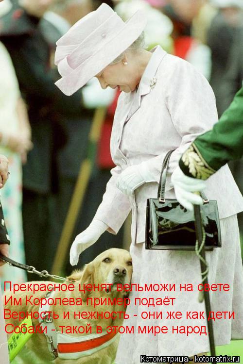 Прекрасное ценят вельможи на свете Им Королева пример подаёт Верность и нежность - они же как дети Со... Котоматрица: Прекрасное ценят вельможи на свете Им Королева пример подаёт Верность и нежность - они же как дети Собаки - такой в этом мире народ.