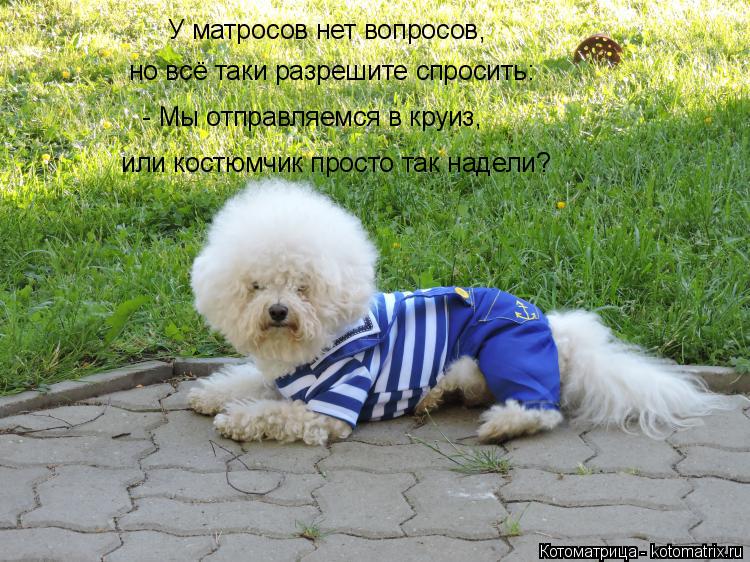 У матросов нет вопросов, но всё таки разрешите спросить: - Мы отправляемся в круиз, или костюмчик п... Котоматрица: У матросов нет вопросов, но всё таки разрешите спросить: - Мы отправляемся в круиз, или костюмчик просто так надели?