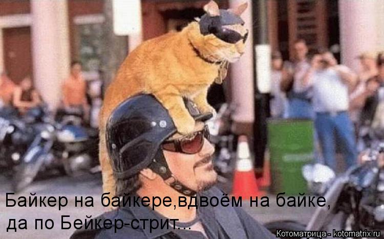 Байкер на байкере,вдвоём на байке, да по Бейкер-стрит...... Котоматрица: Байкер на байкере,вдвоём на байке, да по Бейкер-стрит...