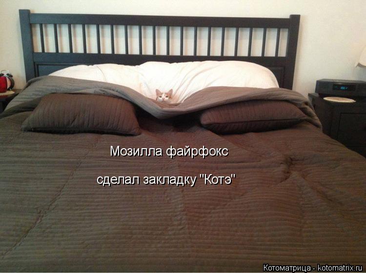 Котоматрица: Мозилла файрфокс сделал закладку "Котэ"