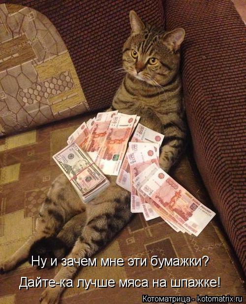 Котоматрица: Ну и зачем мне эти бумажки? Дайте-ка лучше мяса на шпажке!