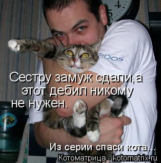 Котоматрица: Сестру замуж сдали,а  этот дебил никому  не нужен.  Из серии спаси кота...