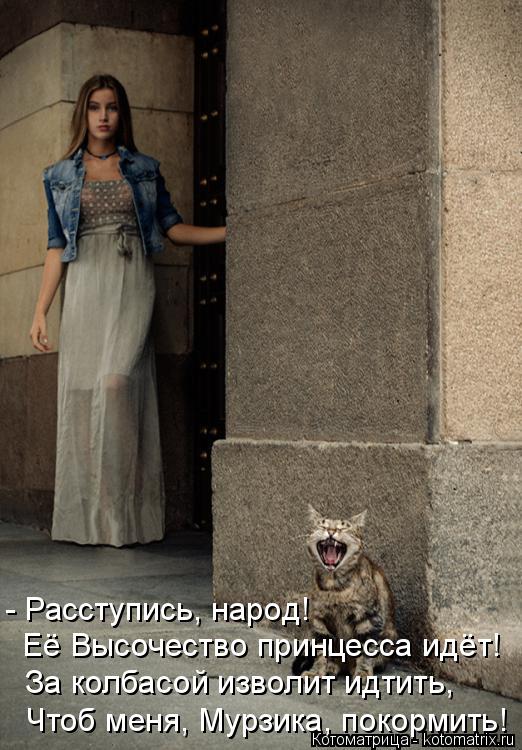 Котоматрица: - Расступись, народ! Её Высочество принцесса идёт! За колбасой изволит идтить, Чтоб меня, Мурзика, покормить!