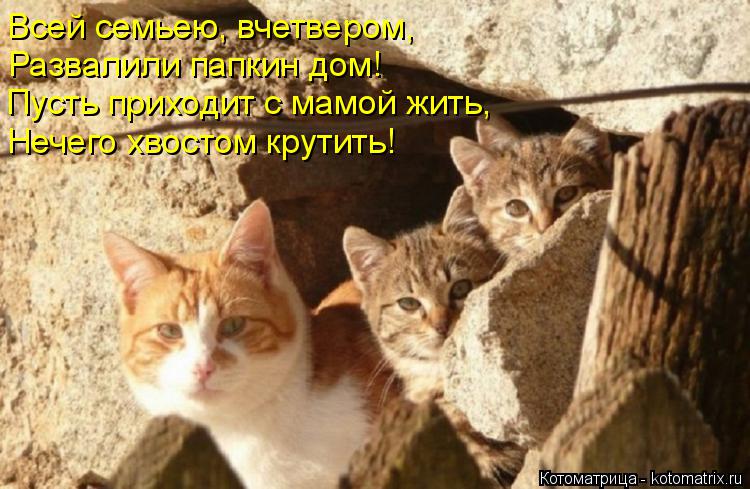 Всей семьею, вчетвером, Развалили папкин дом! Пусть приходит с мамой жить, Нечего хвостом крутить!... Котоматрица: Всей семьею, вчетвером, Развалили папкин дом! Пусть приходит с мамой жить, Нечего хвостом крутить!