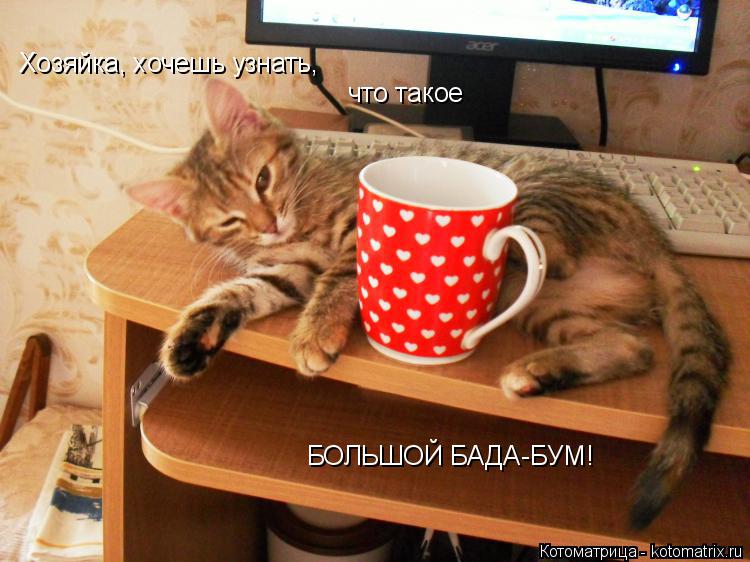 Котоматрица: Хозяйка, хочешь узнать,  что такое БОЛЬШОЙ БАДА-БУМ!