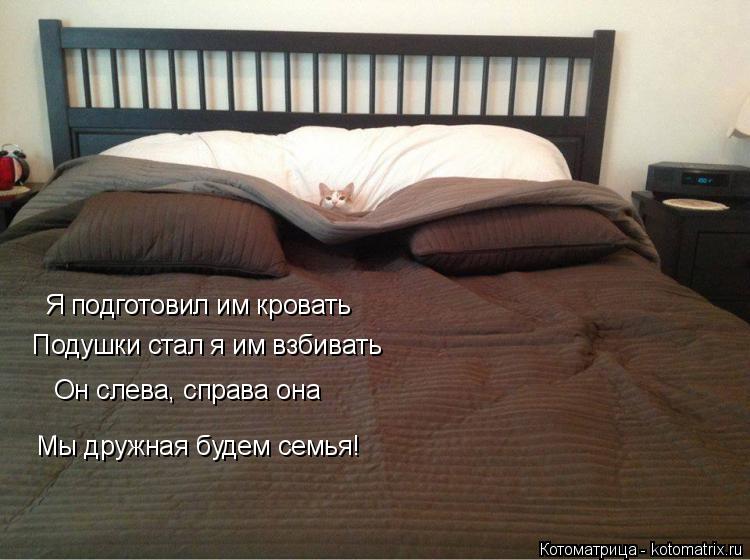 Котоматрица: Я подготовил им кровать Подушки стал я им взбивать Он слева, справа она Мы дружная будем семья!