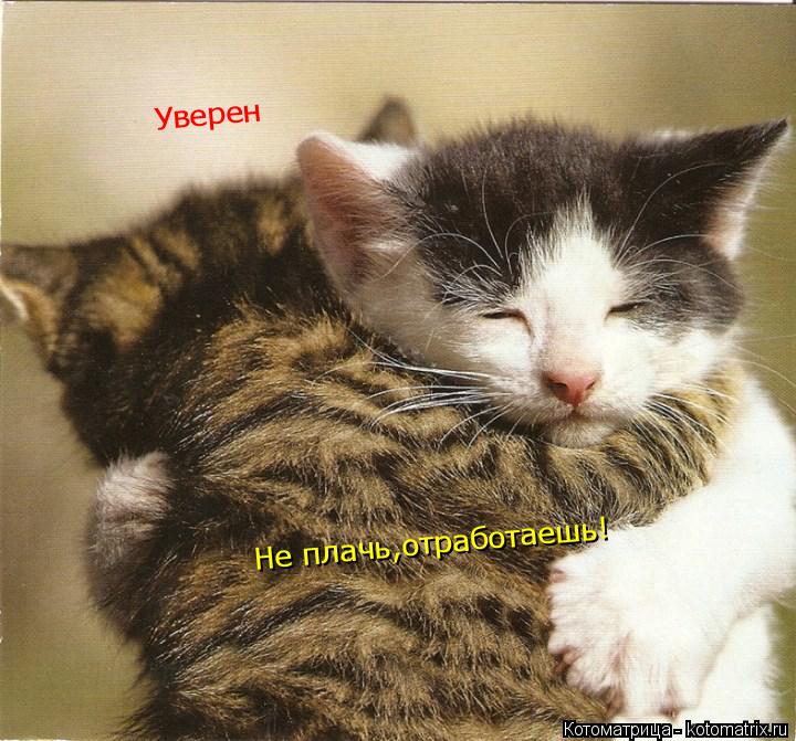 Котоматрица: Не плачь,отработаешь! Уверен