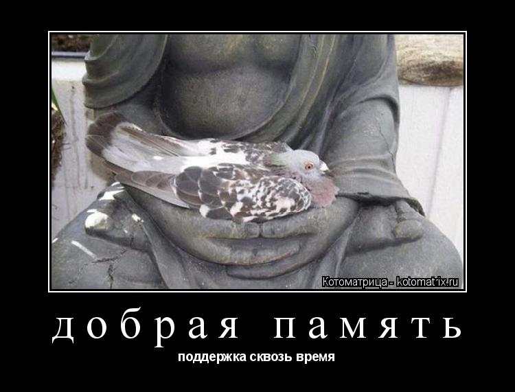 Котоматрица: добрая память поддержка сквозь время
