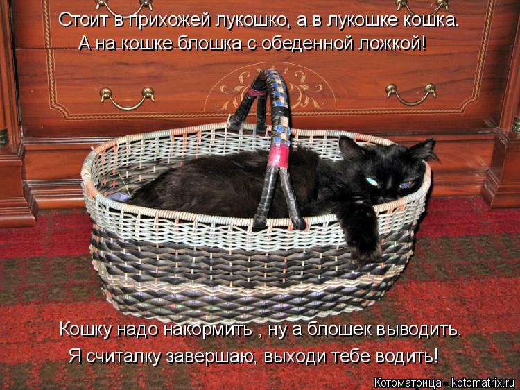 Котоматрица: А на кошке блошка с обеденной ложкой! Кошку надо накормить , ну а блошек выводить. Я считалку завершаю, выходи тебе водить! Стоит в прихожей л