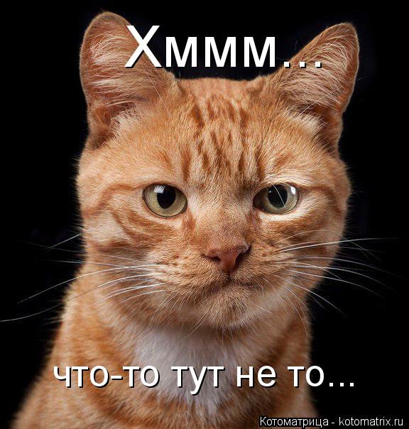 Котоматрица: Хммм... что-то тут не то...