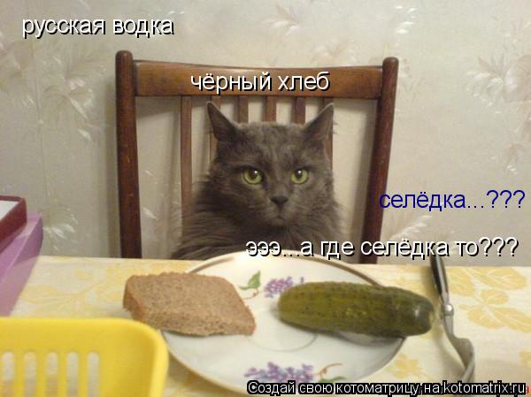 Котоматрица: русская водка селёдка...??? эээ...а где селёдка то??? чёрный хлеб