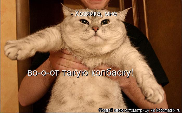 Котоматрица: - Хозяйка, мне во-о-от такую колбаску!