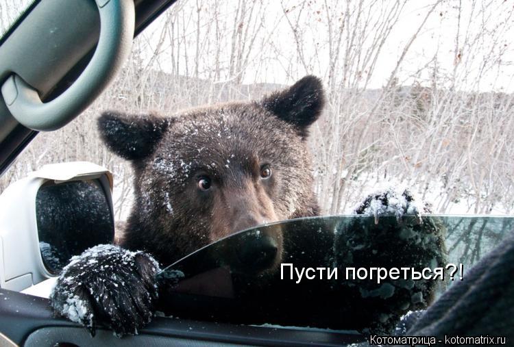Котоматрица: Пусти погреться?!