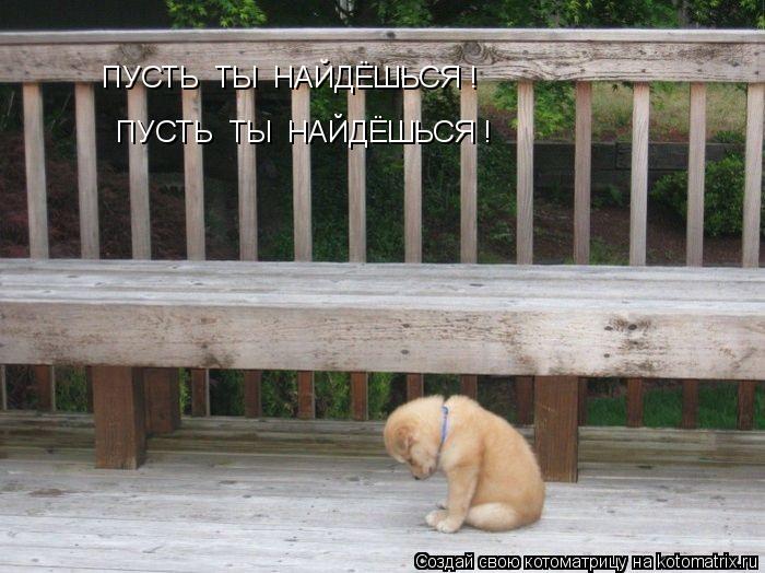 Котоматрица: ПУСТЬ  ТЫ  НАЙДЁШЬСЯ ! ПУСТЬ  ТЫ  НАЙДЁШЬСЯ !