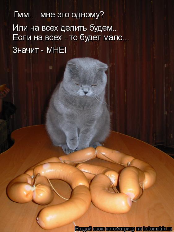 Котоматрица: Гмм..   мне это одному? Или на всех делить будем... Если на всех - то будет мало... Значит - МНЕ!