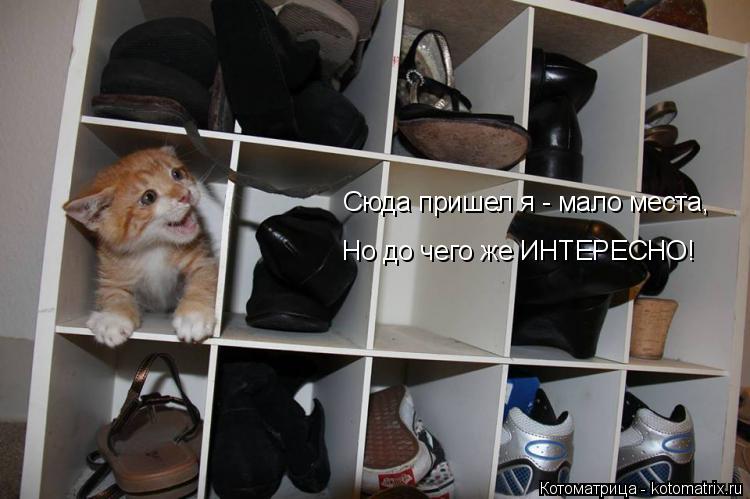 Котоматрица: Сюда пришел я - мало места, Но до чего же ИНТЕРЕСНО!