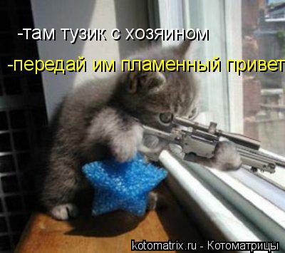Котоматрица: -там тузик с хозяином -передай им пламенный привет