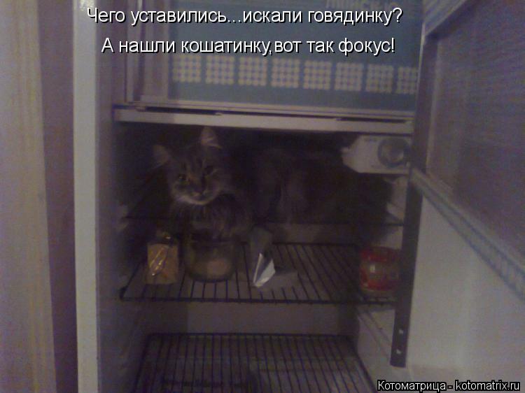 Котоматрица: Чего уставились...искали говядинку? Чего уставились...искали говядинку? А нашли кошатинку,вот так фокус!