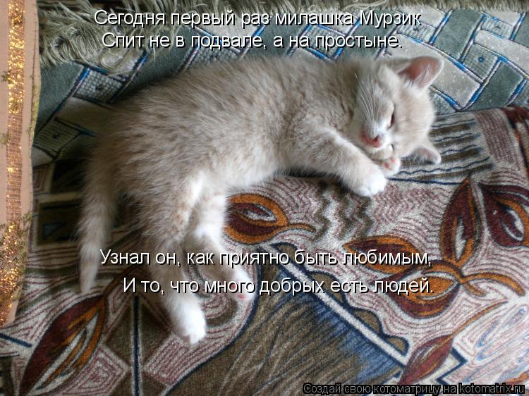 Котоматрица: Сегодня первый раз милашка Мурзик Спит не в подвале, а на простыне. Узнал он, как приятно быть любимым, И то, что много добрых есть людей.