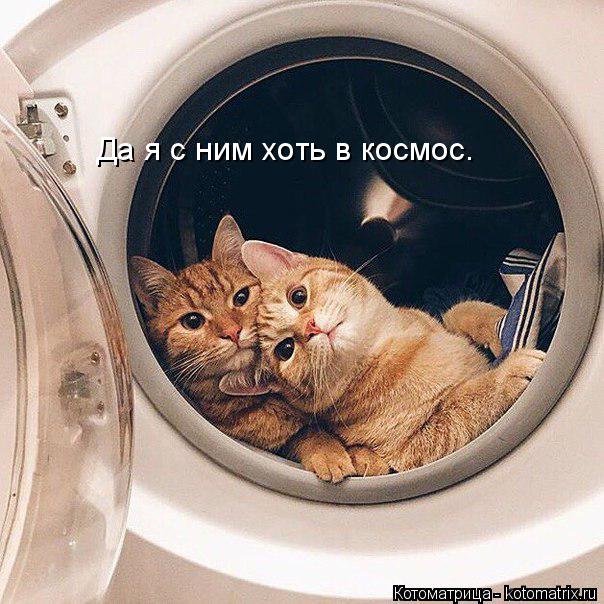 Котоматрица: Да я с ним хоть в космос.