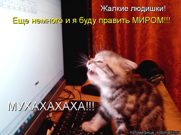 Котоматрица: Жалкие людишки! Еще немного и я буду править МИРОМ!!! МУХАХАХАХА!!!