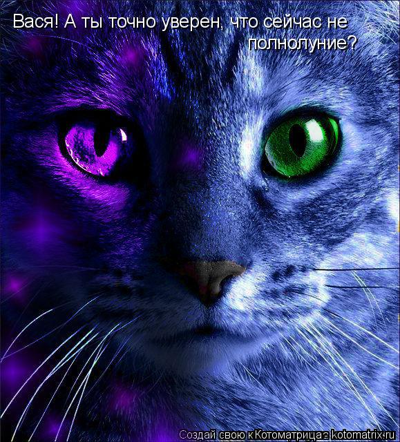 Котоматрица: Вася! А ты точно уверен, что сейчас не полнолуние?