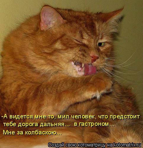 Котоматрица: -А видется мне то, мил человек, что предстоит тебе дорога дальняя... в гастроном... Мне за колбаскою...