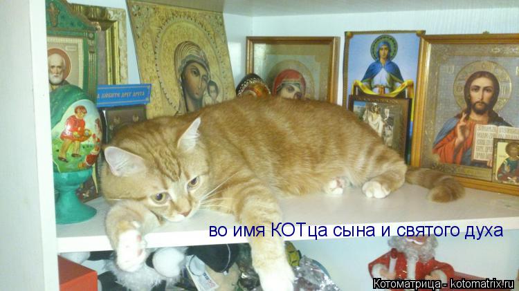 Котоматрица: во имя КОТца сына и святого духа