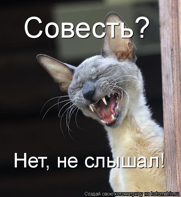 Котоматрица: Совесть? Нет, не слышал!