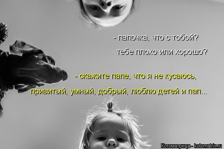 Котоматрица: - папочка, что с тобой?  тебе плохо или хорошо? - скажите папе, что я не кусаюсь, привитый, умный, добрый, люблю детей и пап...
