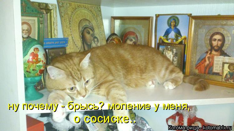 Котоматрица: ну почему - брысь? моление у меня,  о сосиске..