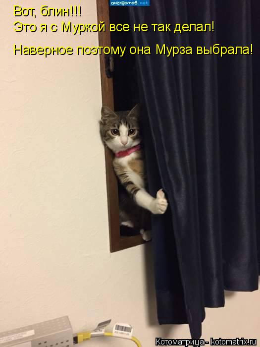 Котоматрица: Вот, блин!!!  Это я с Муркой все не так делал! Наверное поэтому она Мурза выбрала!