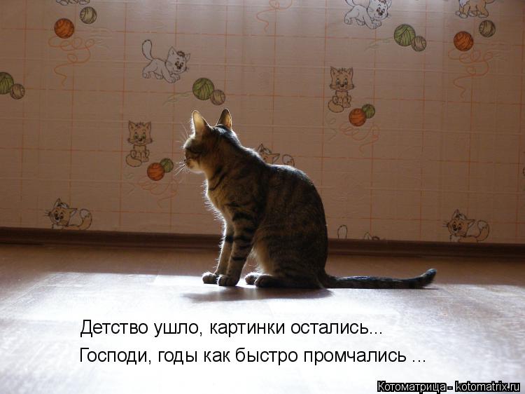 Котоматрица: Детство ушло, картинки остались... Господи, годы как быстро промчались ...