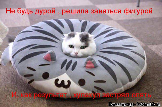 Не будь дурой , решила заняться фигурой И, как результат , хулахуп застрял опять... Котоматрица: Не будь дурой , решила заняться фигурой И, как результат , хулахуп застрял опять