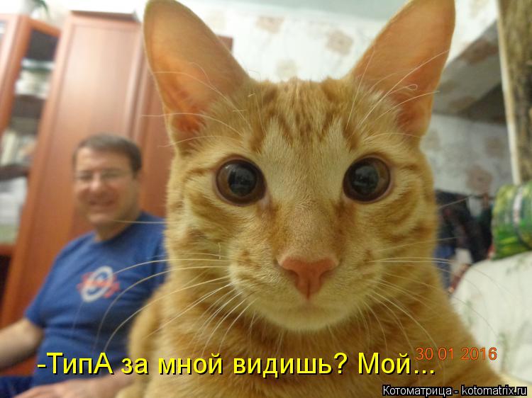 -ТипА за мной видишь? Мой...... Котоматрица: -ТипА за мной видишь? Мой...