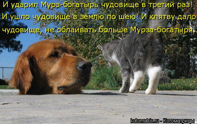 И ударил Мурз-богатырь чудовище в третий раз! И ушло чудовище в землю по шею! И клятву дало чудовище,... Котоматрица: И ударил Мурз-богатырь чудовище в третий раз! И ушло чудовище в землю по шею! И клятву дало чудовище, не облаивать больше Мурза-богатыря...