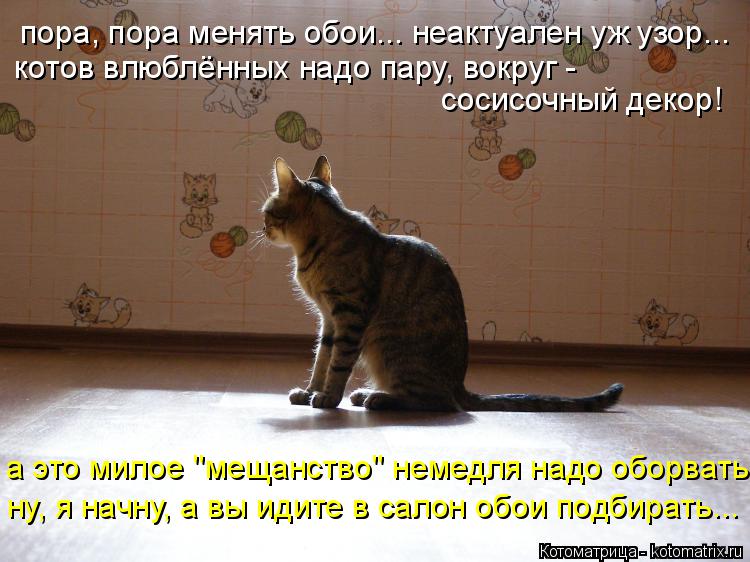 пора, пора менять обои... неактуален уж узор... котов влюблённых надо пару, вокруг - сосисочный деко... Котоматрица: пора, пора менять обои... неактуален уж узор... котов влюблённых надо пару, вокруг - сосисочный декор! а это милое "мещанство" немедля надо обо
