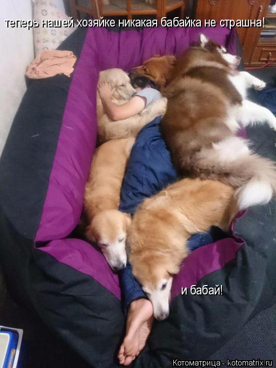 Котоматрица: теперь нашей хозяйке никакая бабайка не страшна! и бабай!