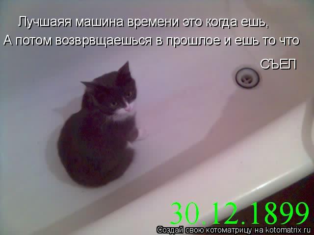 Котоматрица: Лучшаяя машина времени это когда ешь, А потом возврвщаешься в прошлое и ешь то что СЪЕЛ