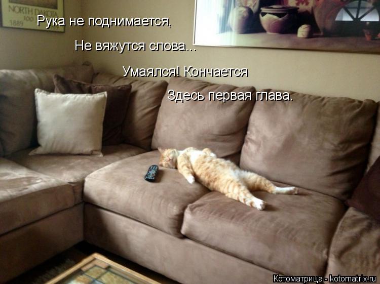 Рука не поднимается, Не вяжутся слова... Умаялся! Кончается Здесь первая глава.... Котоматрица: Рука не поднимается, Не вяжутся слова... Умаялся! Кончается Здесь первая глава.