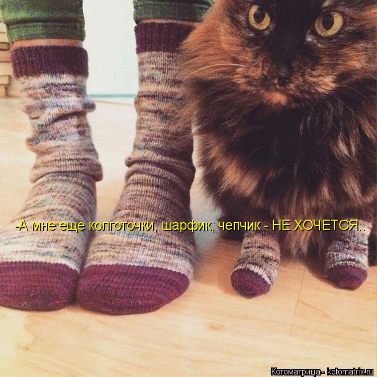 -А мне еще колготочки, шарфик, чепчик - НЕ ХОЧЕТСЯ..... Котоматрица: -А мне еще колготочки, шарфик, чепчик - НЕ ХОЧЕТСЯ..